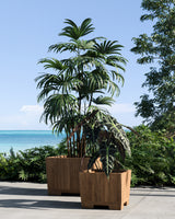 Botaniq plantebak teak square 100 x 100 cm