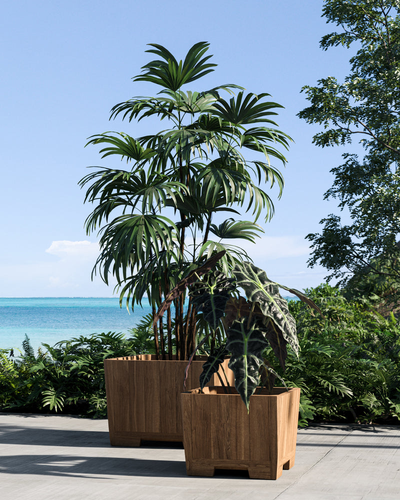 Botaniq plantebak teak square 100 x 100 cm