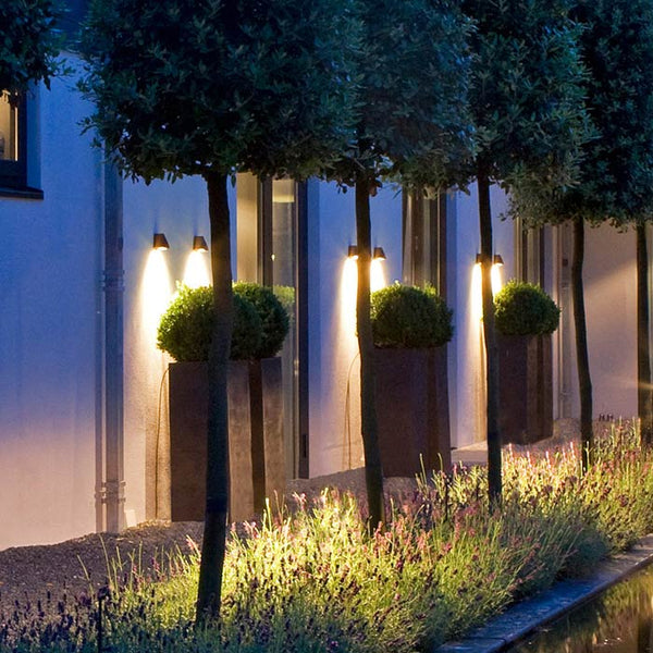 Beamy_Wall_Royal-Botania