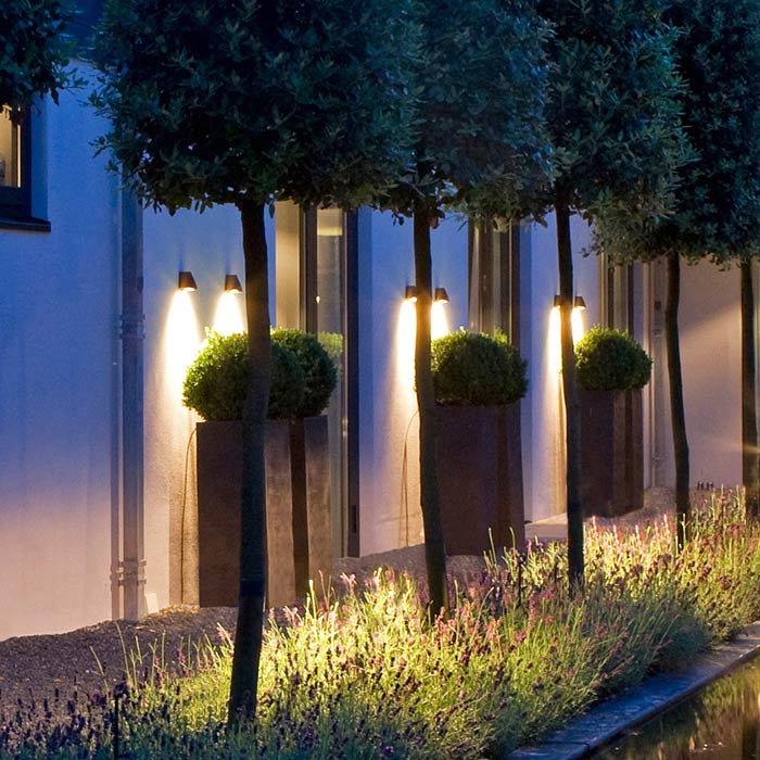 Beamy_Wall_Royal-Botania